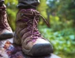 10 Best Hiking Boots for Men: Top Picks for Every Trail